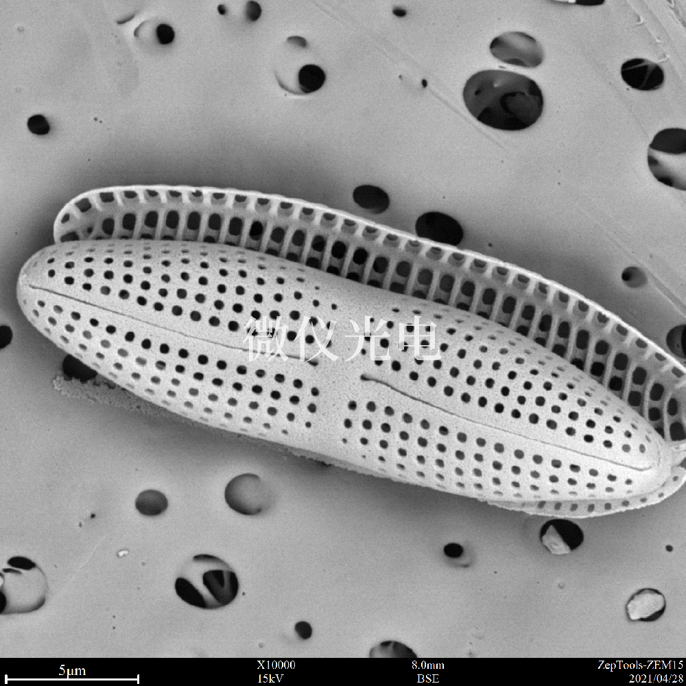 sem臺(tái)式掃描電鏡在司法鑒定行業(yè)的應(yīng)用是這樣的，你之前了解嗎？